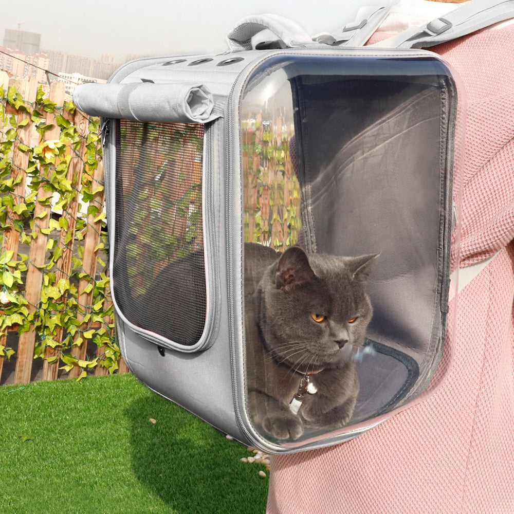 Clear View Breathable Pet Backpack