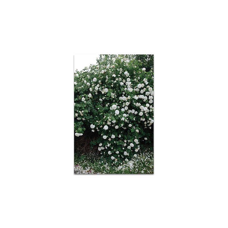 Foliage Escape Canvas Art Print