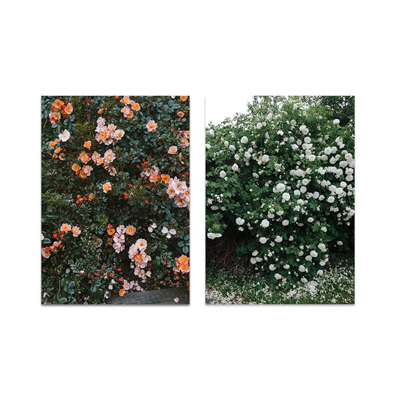 Foliage Escape Canvas Art Print