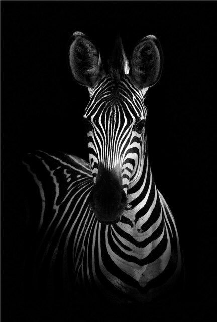 Monochrome Animal Canvas Poster freeshipping - khollect