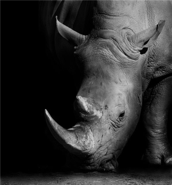 Monochrome Animal Canvas Poster freeshipping - khollect