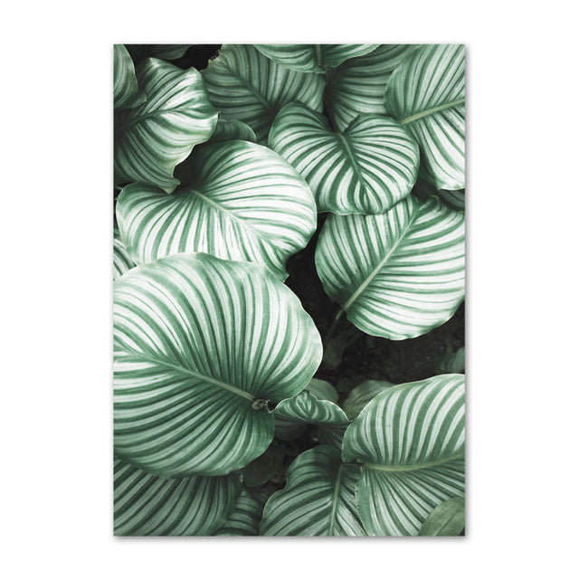 Evergreen Essence Canvas Art