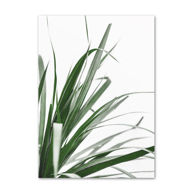 Evergreen Essence Canvas Art