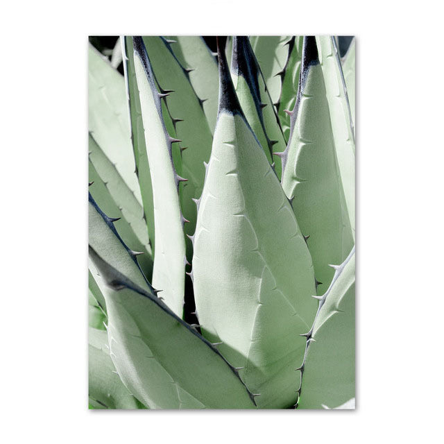 Evergreen Essence Canvas Art