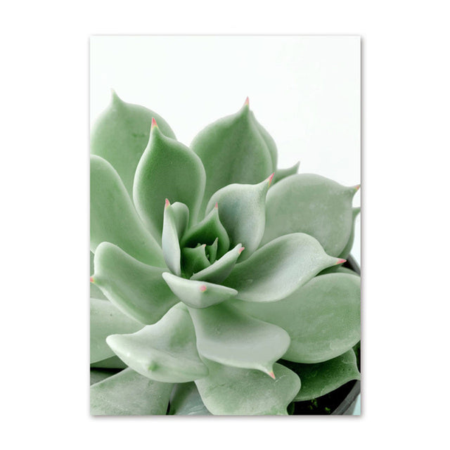 Evergreen Essence Canvas Art