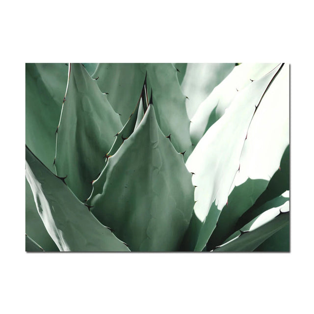 Evergreen Essence Canvas Art