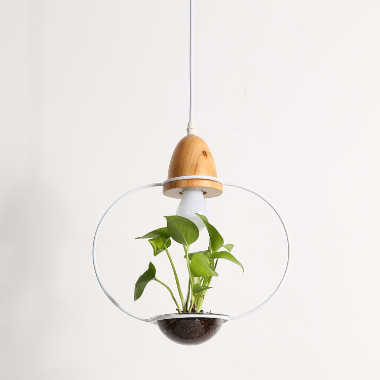 Monochrome Pendant Plant Chandelier freeshipping - khollect
