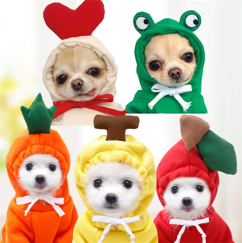 Fruity Dog Fleece Jackets