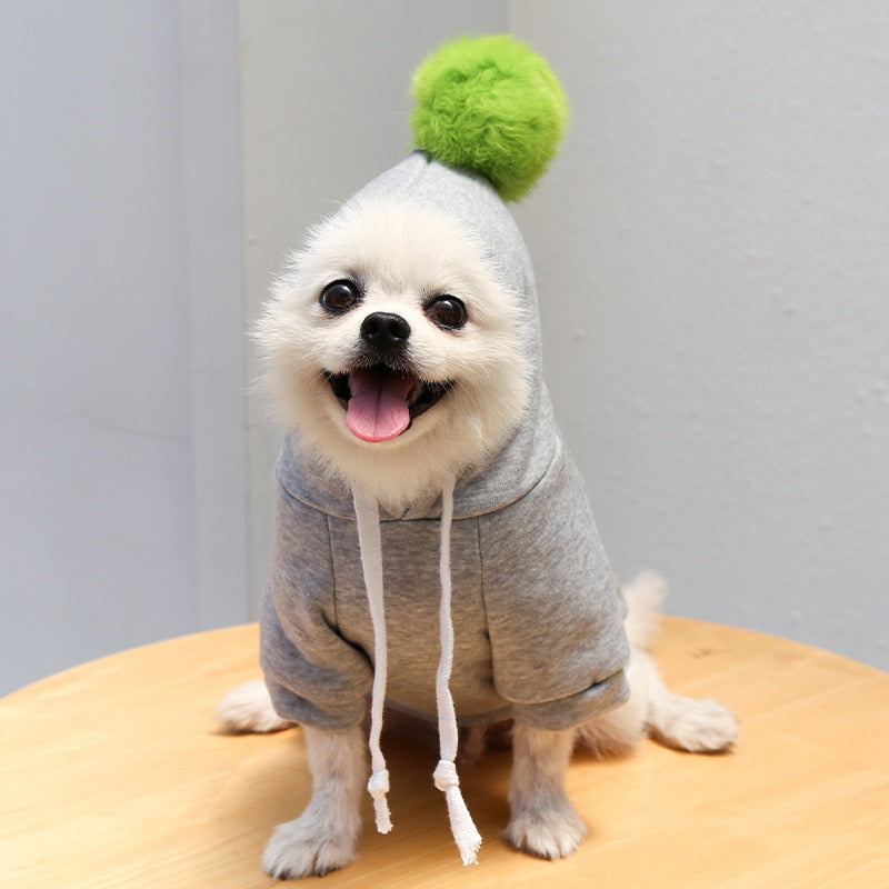 Fruity Dog Fleece Jackets