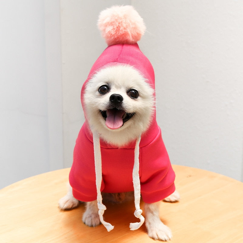 Fruity Dog Fleece Jackets