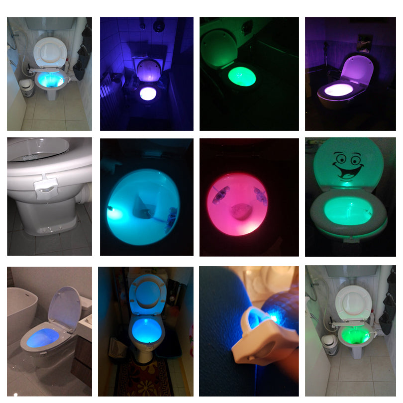 Night Fall Motion Sensor LED Toilet Light