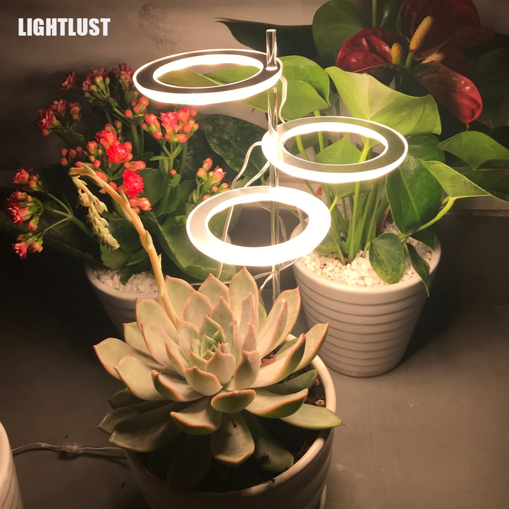 Indoor Plant Glow Lights freeshipping - khollect