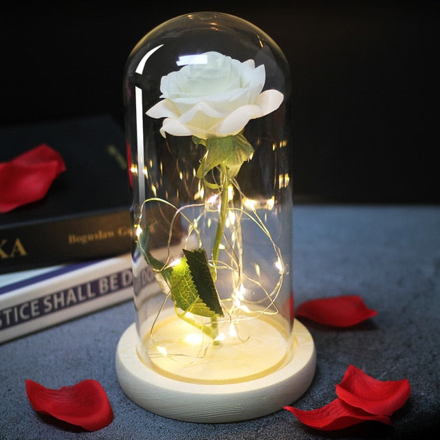 LED Eternal Rose In Glass Decor freeshipping - khollect
