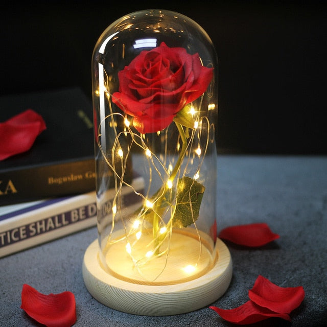 LED Eternal Rose In Glass Decor freeshipping - khollect