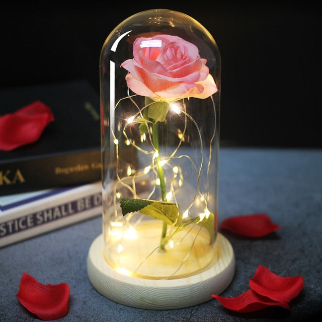 LED Eternal Rose In Glass Decor freeshipping - khollect
