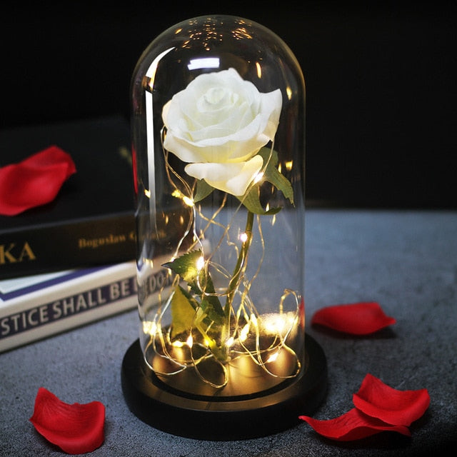 LED Eternal Rose In Glass Decor freeshipping - khollect
