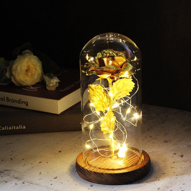 LED Eternal Rose In Glass Decor freeshipping - khollect
