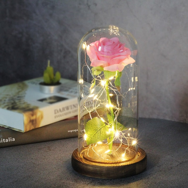 LED Eternal Rose In Glass Decor freeshipping - khollect