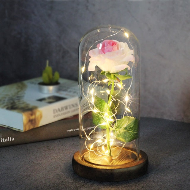 LED Eternal Rose In Glass Decor freeshipping - khollect
