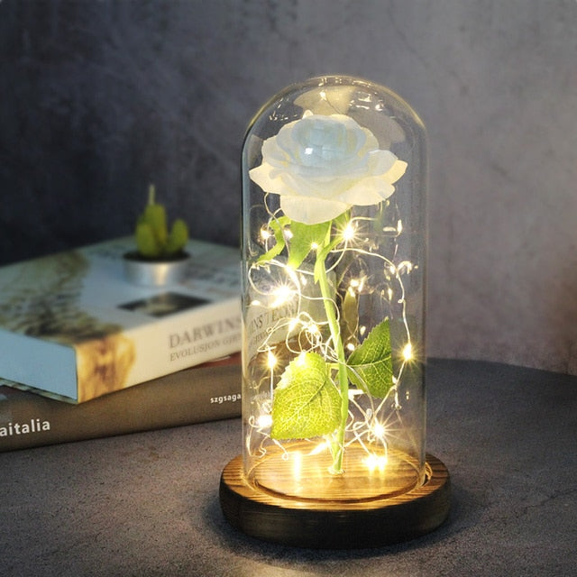 LED Eternal Rose In Glass Decor freeshipping - khollect
