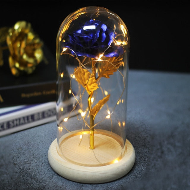 LED Eternal Rose In Glass Decor freeshipping - khollect