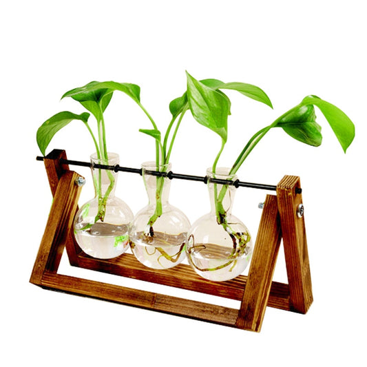 Wooden Hydroponic Plant Vase freeshipping - khollect