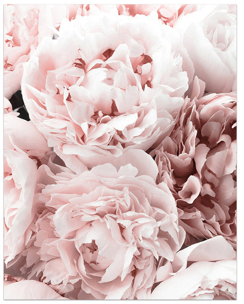 Blooming Shades of Pink Art Print