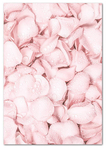Blooming Shades of Pink Art Print