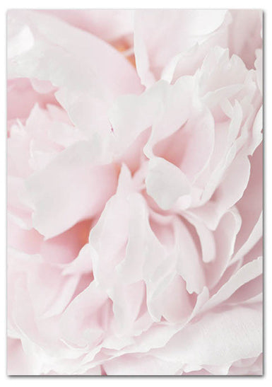 Blooming Shades of Pink Art Print