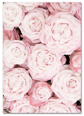 Blooming Shades of Pink Art Print