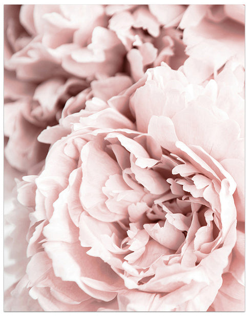 Blooming Shades of Pink Art Print